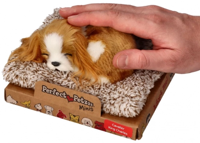 Cățeluș adormit Cavalier King Charles Perfect Petzzz