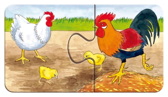 Calitate RAVENSBURGER fără reflexii