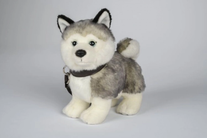 Husky de pluș cu lesă 25 cm