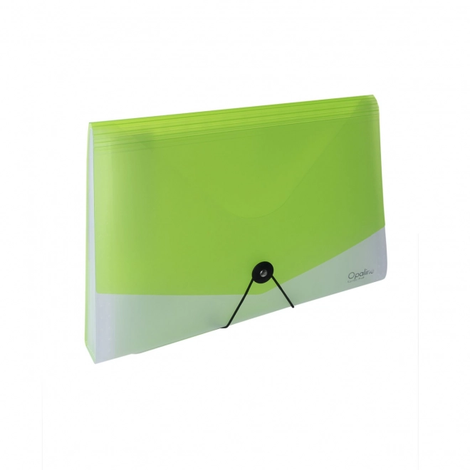 organizator documente cu elastic A4 Opaline verde