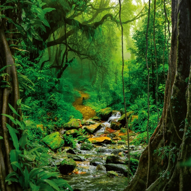 Calendar de notițe Păduri Tropicale 2026