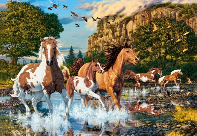 Puzzle castorland regatul cailor 1000 piese