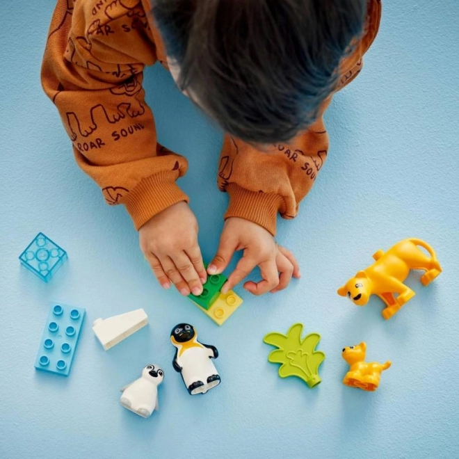 Lego Duplo Rodinke animale sălbatice: Pinguini și lei