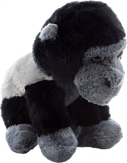 Aspect natural și realist