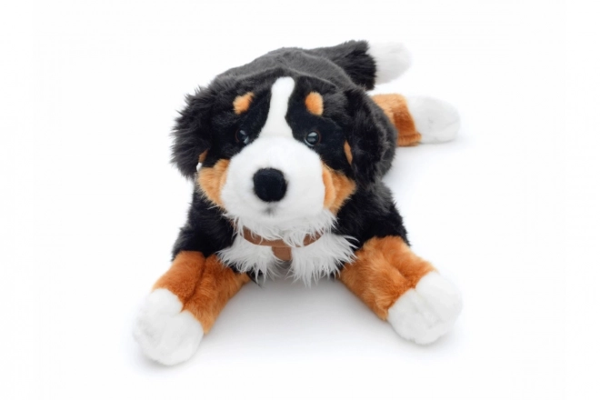 Jucărie de pluș Câine de munte Bernese 65 cm