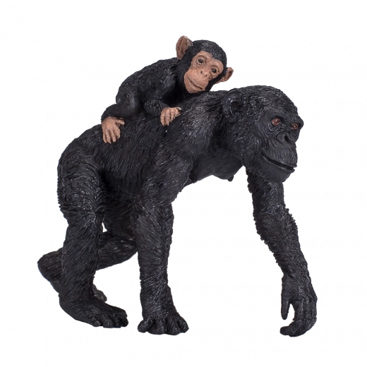 Execuție durabilă și sigură