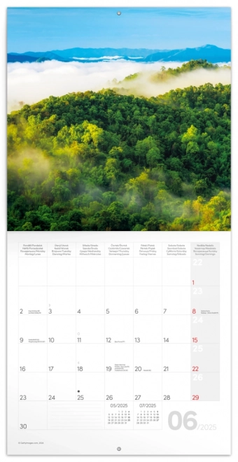 Calendar cu notițe Pădurile Tropicale 2025