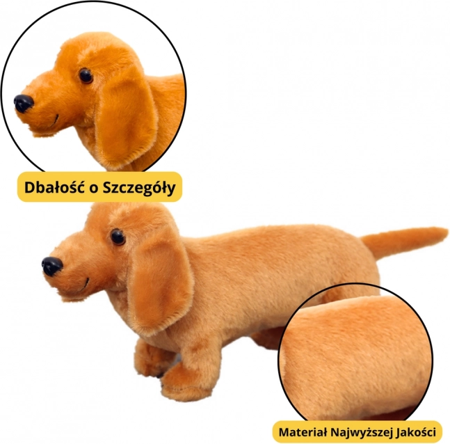 Jucărie de Pluș Câine Teckel Maro Deschis 25 cm