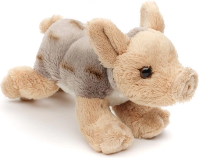 Ușor și ideal pentru călătorii