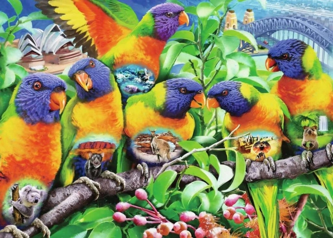 Puzzle Ravensburger Tărâmul Lorikeet 1000 de piese