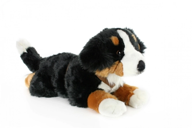 Jucărie de pluș Câine de munte Bernese 65 cm