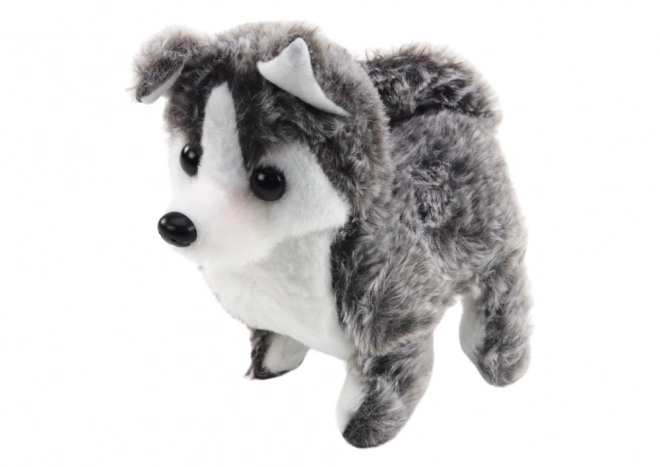 Cățeluș Husky Interactiv cu Sunet