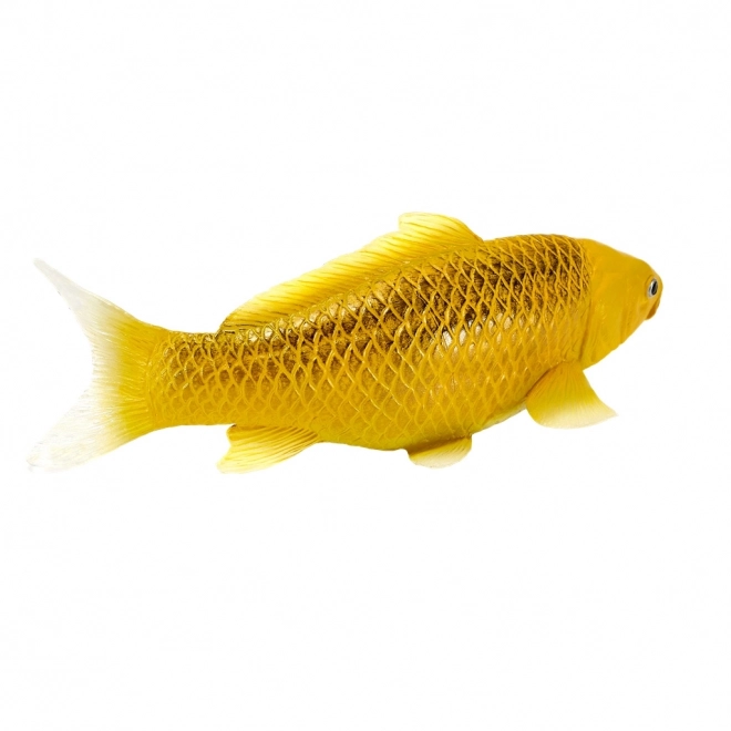 Mojo crap koi Matsuba