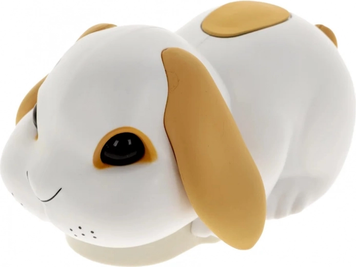 Iepurașul neastâmpărat care pune distracția în mișcare