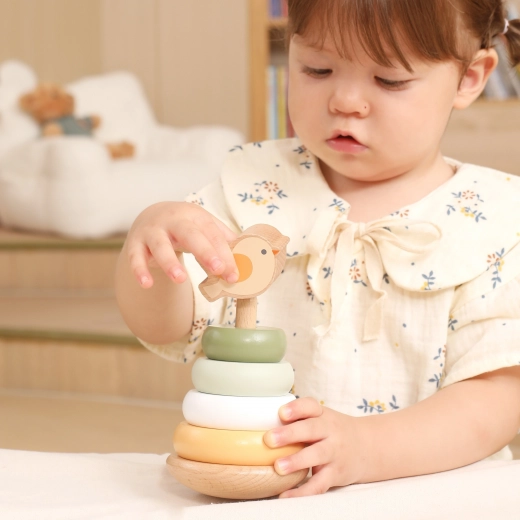 Dezvoltarea motricității și a gândirii logice