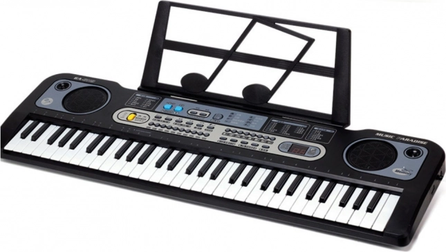 Instrumente muzicale electronice cu microfon pentru copii