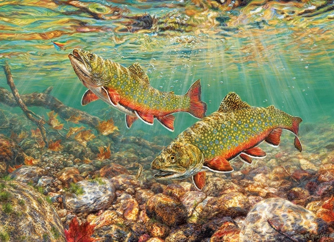 Puzzel Păstrăv Potocean 1000 de Piese Cobble Hill
