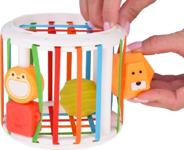 Sortator inteligent cu benzi elastice