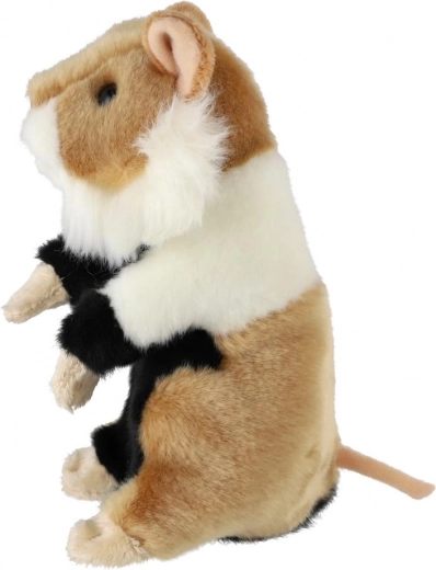 Detalii realiste pentru imaginație