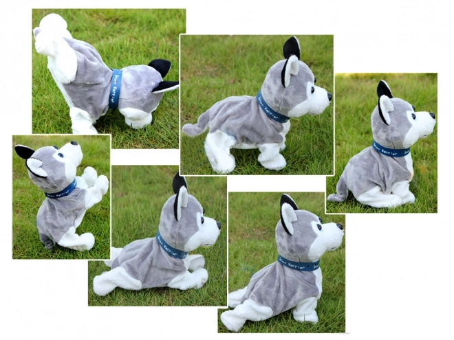 Pui interactiv Husky care reacționează la atingere