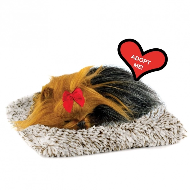 Căţeluş de jucărie Perfect Petzzz York