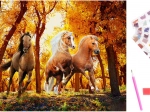 Pictură cu diamante Cai alergători 40x30 cm