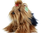 Câine de pluș Yorkshire Terrier Eco Friendly