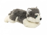 Câine Husky de pluș pentru copii