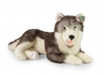 Câine husky de pluș culcat 60 cm ECO‑FRIENDLY de la RAPPA
