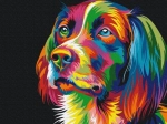 Obraz pictură după numere - Câine în culori