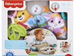 FP PERNUȚĂ PENTRU STAT PE BURTICĂ LENEȘ