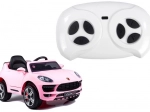 Pilot pentru vehicule 2,4G