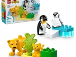 LEGO DUPLO Familii de animale sălbatice: pinguini și lei
