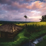 Puzzle Terase de orez Bali 500 piese