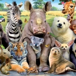 Educa puzzle Fotografie de clasă 300 piese