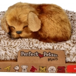 Cățelușul mic Perfect Petzzz