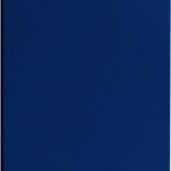 Planificator de buzunar Albastru 2026