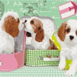 Paint it! Pictură după numere: Căţei drăgălaşi