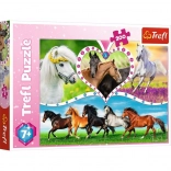Puzzle 200 piese frumoși cai TREFL
