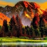 Norimpex Pictură cu diamante Peisaj 80x40 cm