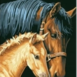 Pictură diamant Mânză cu mânz 30x40 cm