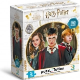 Puzzle DODO Harry Potter: Harry, Ron și Hermiona 250 piese