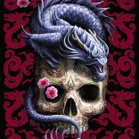 Puzzle TREFL Premium Plus – dragon oriental (1000 de piese)