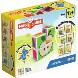 GEOMAG Cuburi magnetice Magicube Fructe