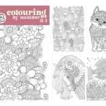 Pictură după numere A4 cu creioane duo