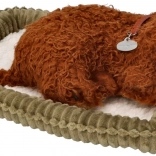 Căţeluşul Perfect Adormit Pudel