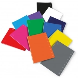 Caiet școlar Pigna A5 Monocromo