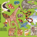 Joc de cărți Zanimatch