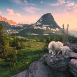 puzzle ravensburger capre alpine – 3000 piese