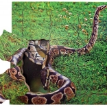 Just Jigsaws A avut un ciclu de viață al șarpelui - puzzle stratificat de lemn